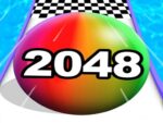 צבע גליל כדור 2048