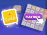 מאבק 2048